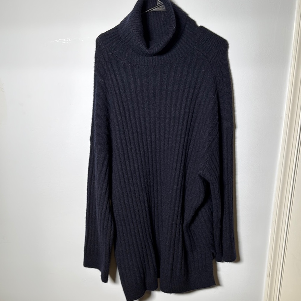H&M Blue Long Sleeve Sweater Dress with Dolman Sleeves and Turtleneck